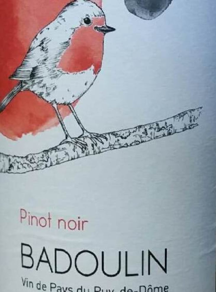 Pinot Noir - Badoulin - Stéphan Elzière - stephan-elziere 