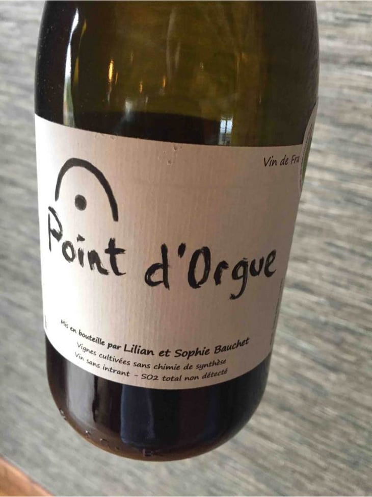 Point d'Orgue - Lilian & Sophie Bauchet - lilian-sophie-bauchet 