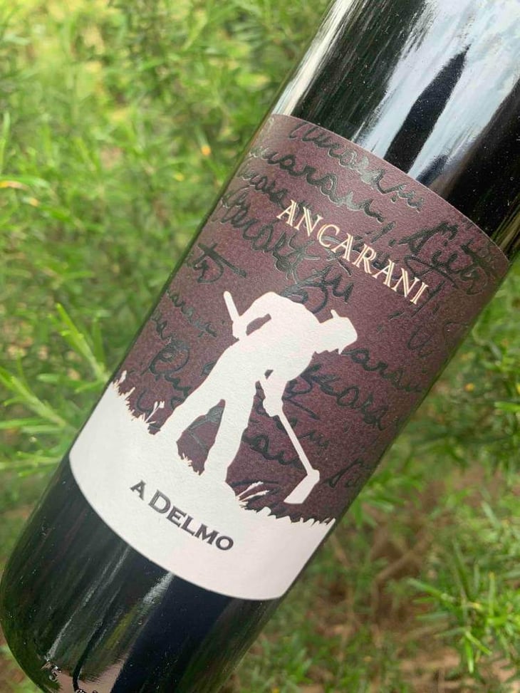 A Delmo - Ancarani - rita-babini-claudio-ancarani 