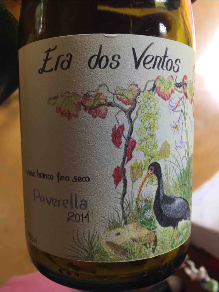 Peverella - Era dos Ventos - alvaro-escher-luiz-henrique-zanini-pedro-hermeto 