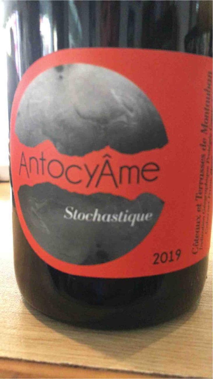 Stochastique - AntocyÂme - muriel-zoldan 
