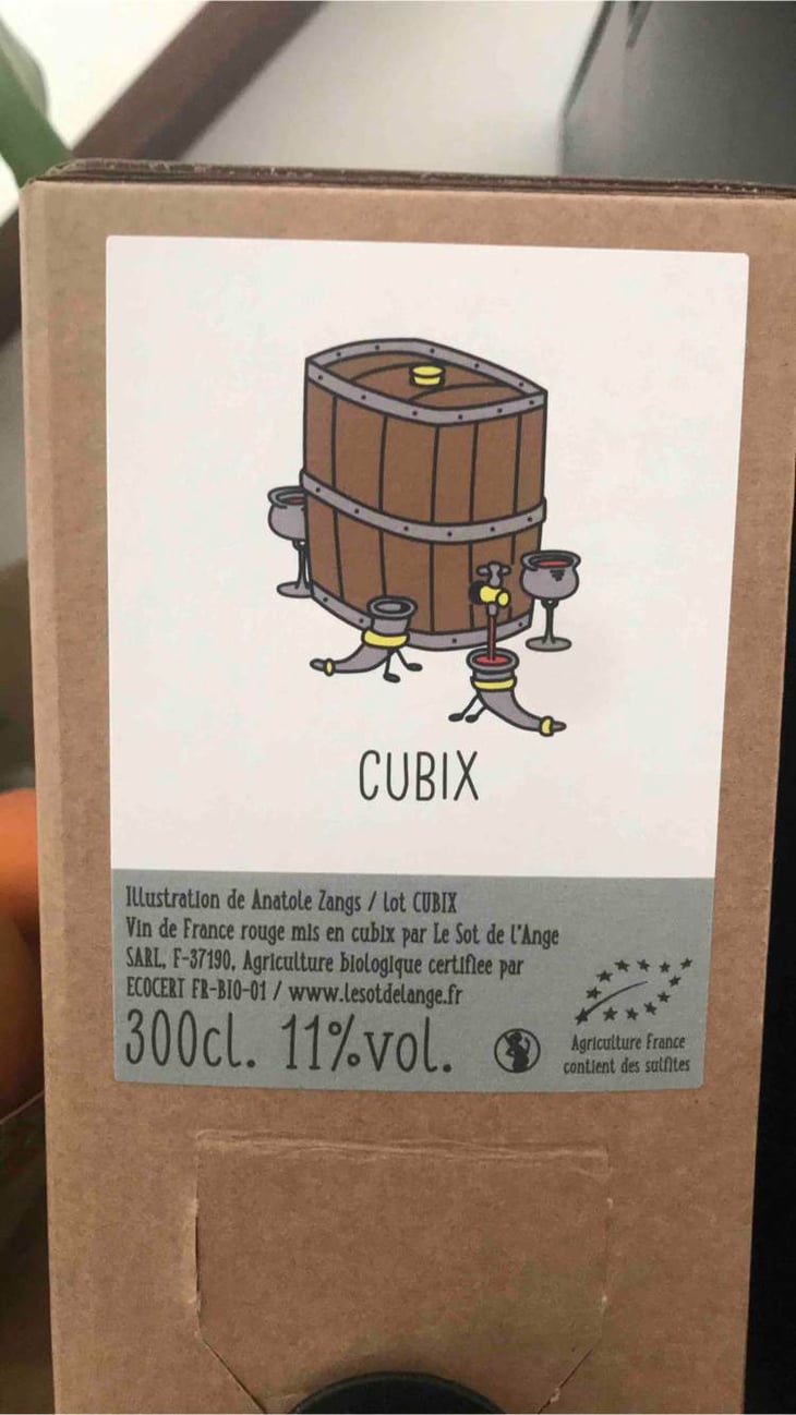 Cubix - Le Sot de l'Ange - angelique-quentin-bourse 