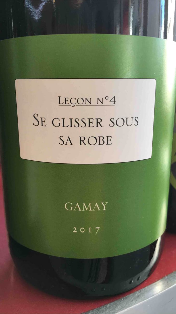 Se Glisser Sous Sa Robe (leçon Nº4) - Antoine Lienhardt - antoine-lienhardt 