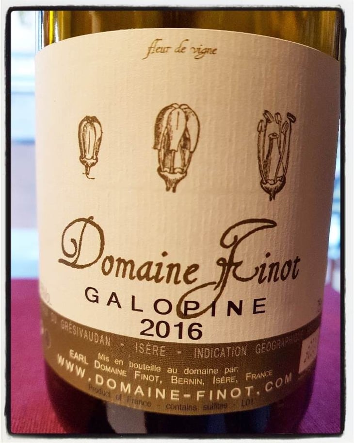 Galopine - Domaine Finot - thomas-finot 