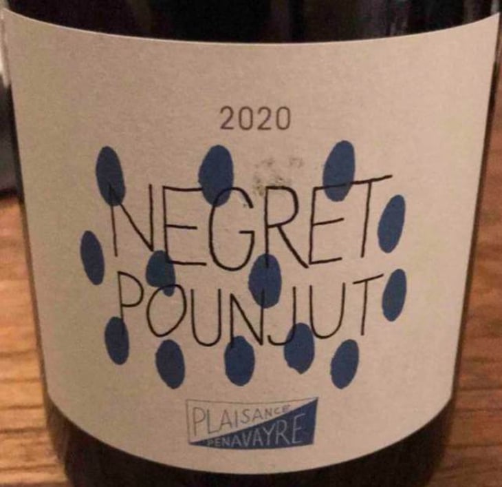 Negret Pounjut - Domaine Plaisance - Penavayre - louis-marc-et-thibaut-penavayre 