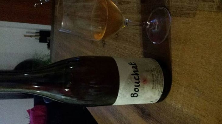 Bouchat M - Domaine Sauveterre - ghislaine-jerome-guichard 