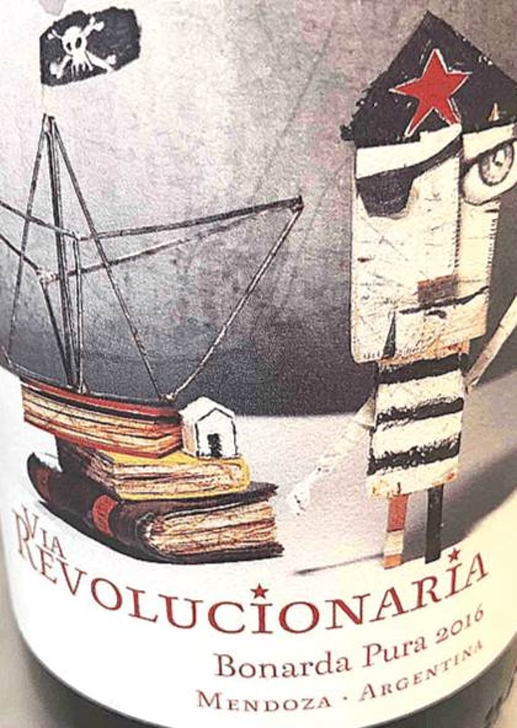 Bonarda Pura - Passionate Wine - matias-michelini-ve 