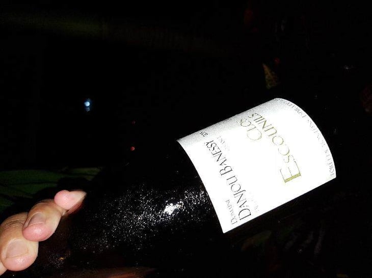 Clos des Escounils - Domaine Danjou-Banessy - benoit-sebastien-danjou 