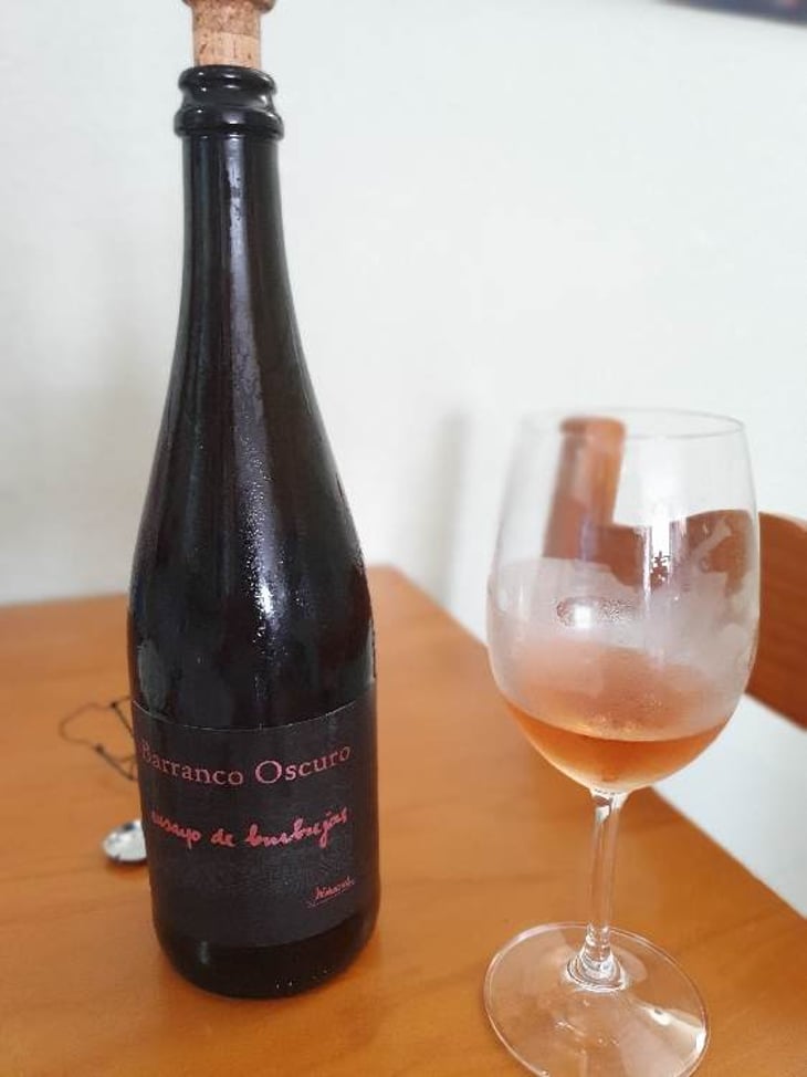 Ensayo de Burbujas - Barranco Oscuro - manuel-lorenzo-valenzuela 