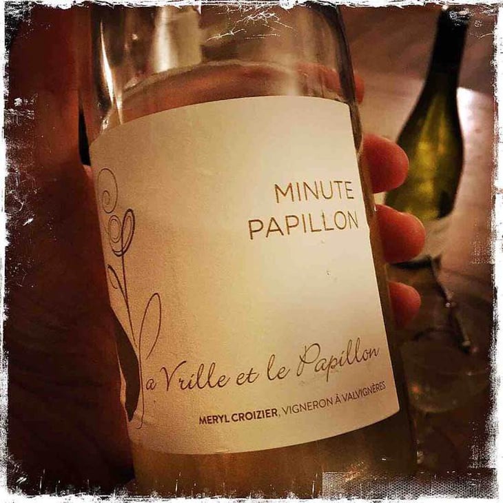 Minute Papillon - La Vrille et le Papillon - geraldine-meryl-croizier 