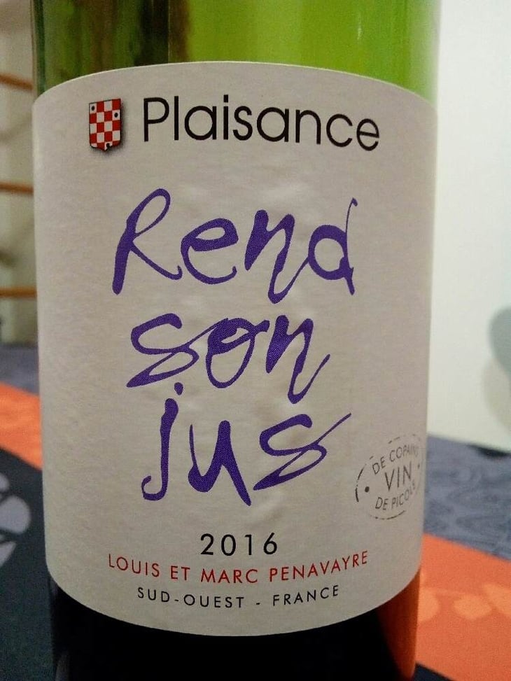 Rend Son Jus - Domaine Plaisance - Penavayre - louis-marc-et-thibaut-penavayre 