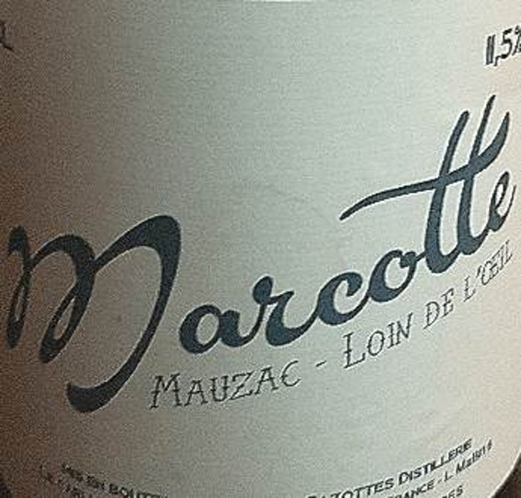 Marcotte (blanc) - Distillerie et Domaine Cazottes - laurent-cazottes 