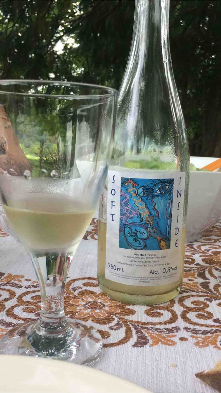 Soft Inside - Domaine Le Clocher - Les Vins de Sainte Anne - brendan-sean-tracey 