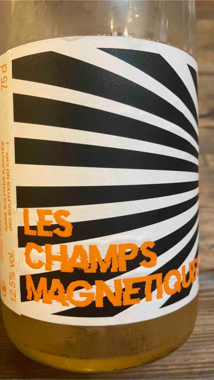 Les Champs Magnetiques 2020 - Val de Combrès - valentin-l 