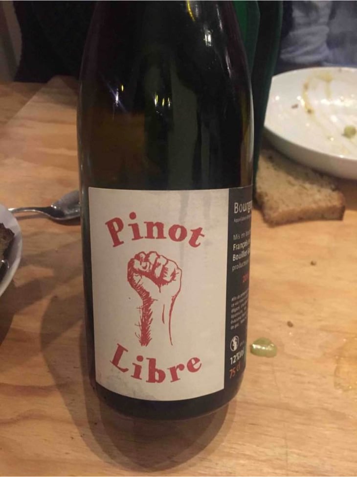 Pinot Libre - Bouillot-Salomon - francois-claire-bouillot-salomon 