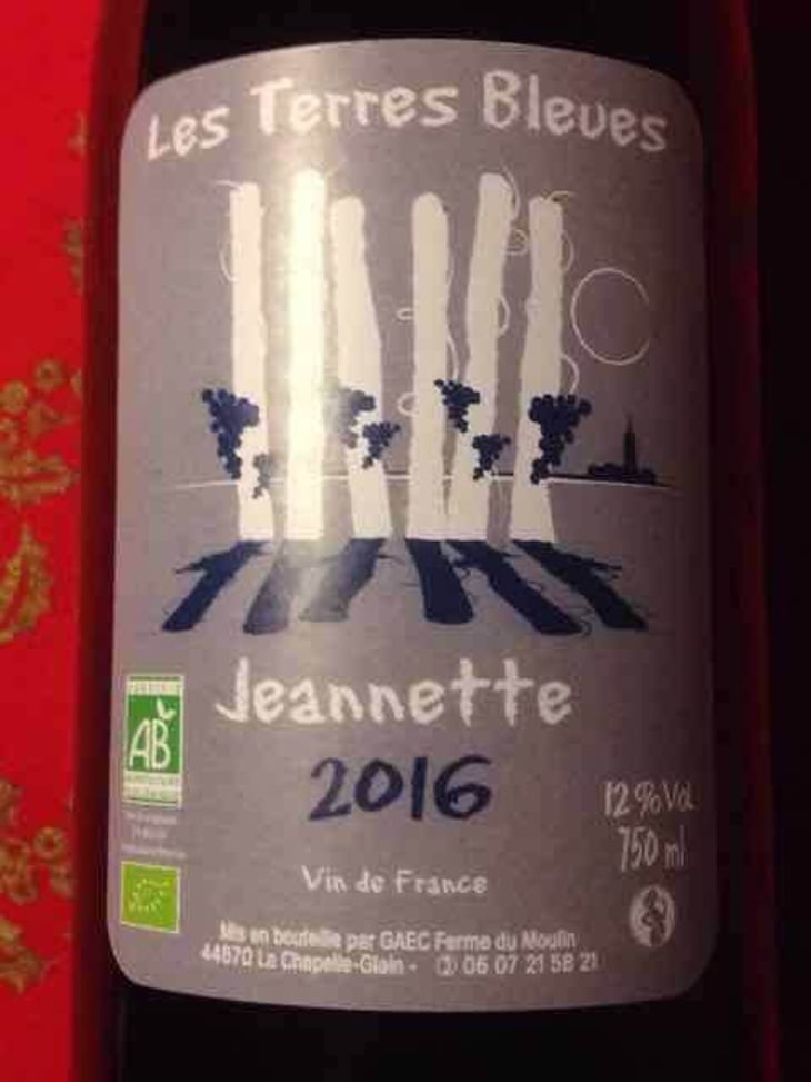 Jeannette - Les Terres Bleues - xaviere-hardy 