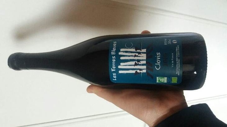 Clovis - Les Terres Bleues - xaviere-hardy 