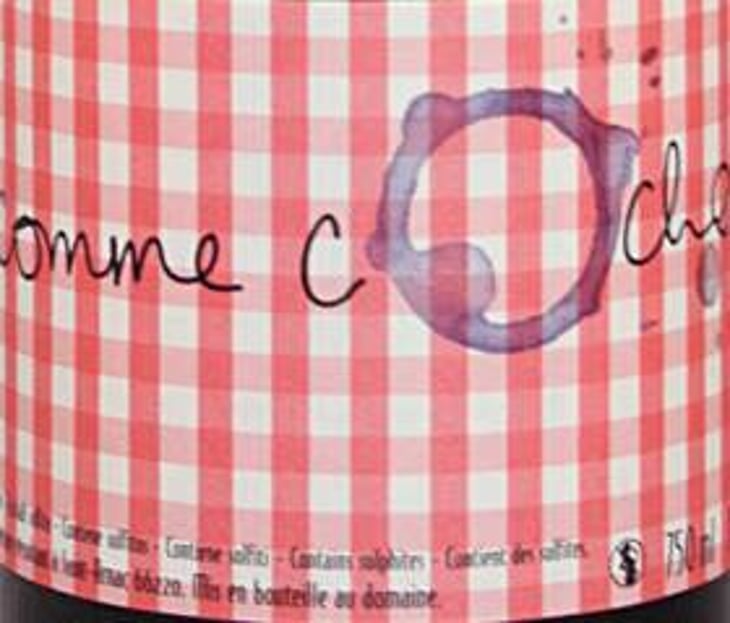 Copains Comme Cochons - Jean-Baptiste Senat - charlotte-jean-baptiste-senat 