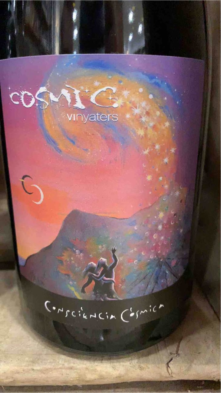 Conciencia Còsmica - Còsmic Vinyaters - salvador-batlle-barrabeig 