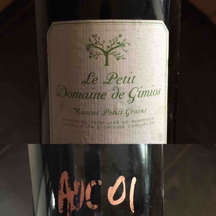 Muscat Petits Grains - Le Petit Domaine de Gimios - anne-marie-lavaysse 