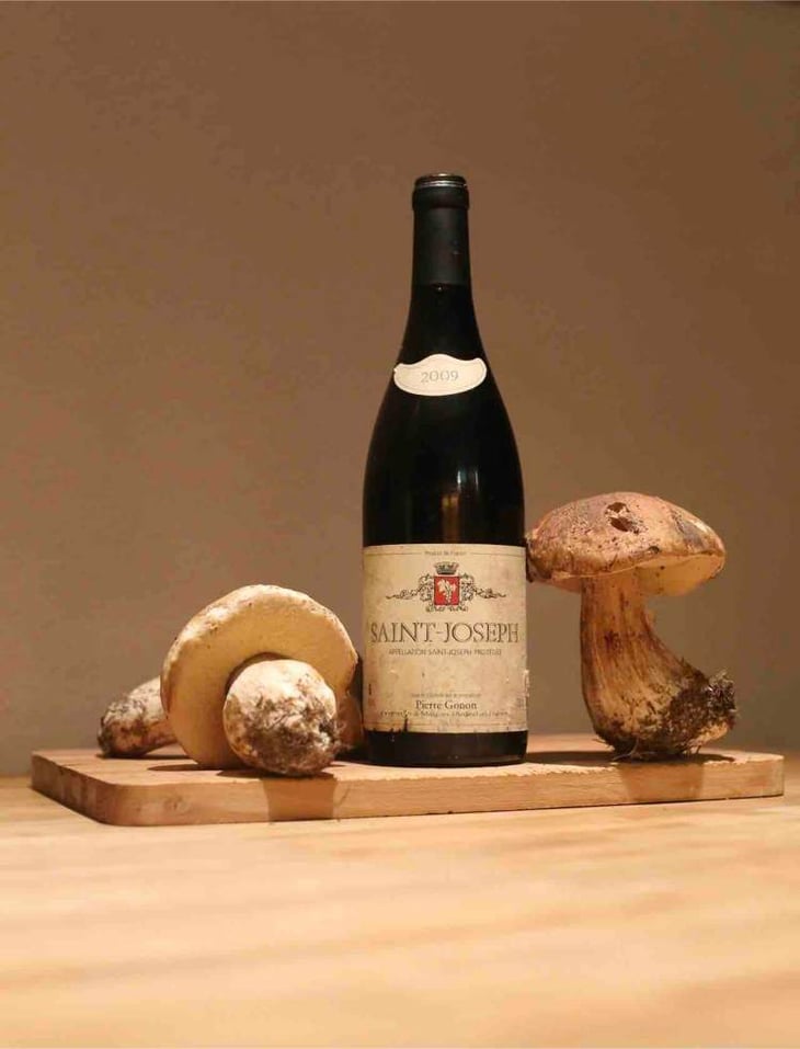 Saint-Joseph 2009 - Pierre Gonon - pierre-gonon 