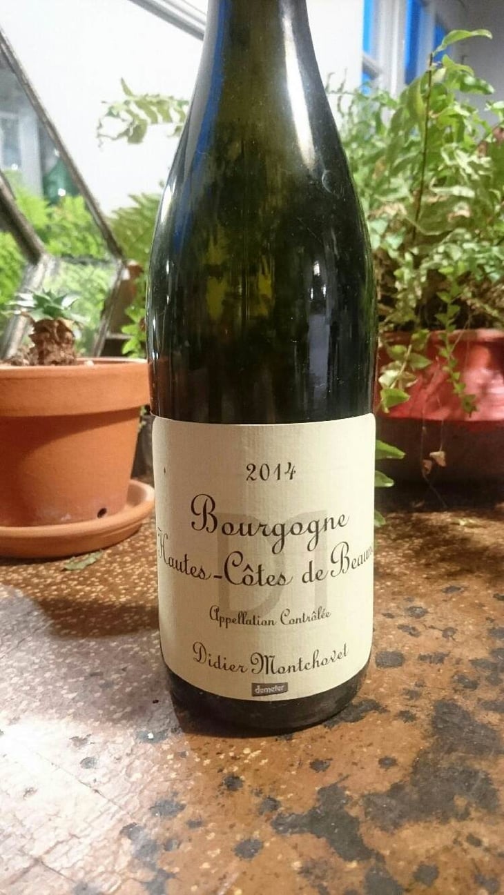Bourgogne Hautes-Côtes De Nuits - Domaine Montchovet - didier-montchovet 