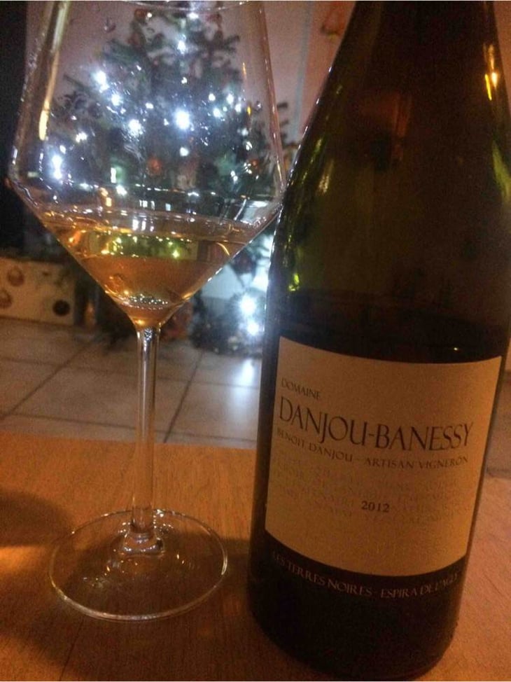La Truffière (Blanc) - Domaine Danjou-Banessy - benoit-sebastien-danjou 