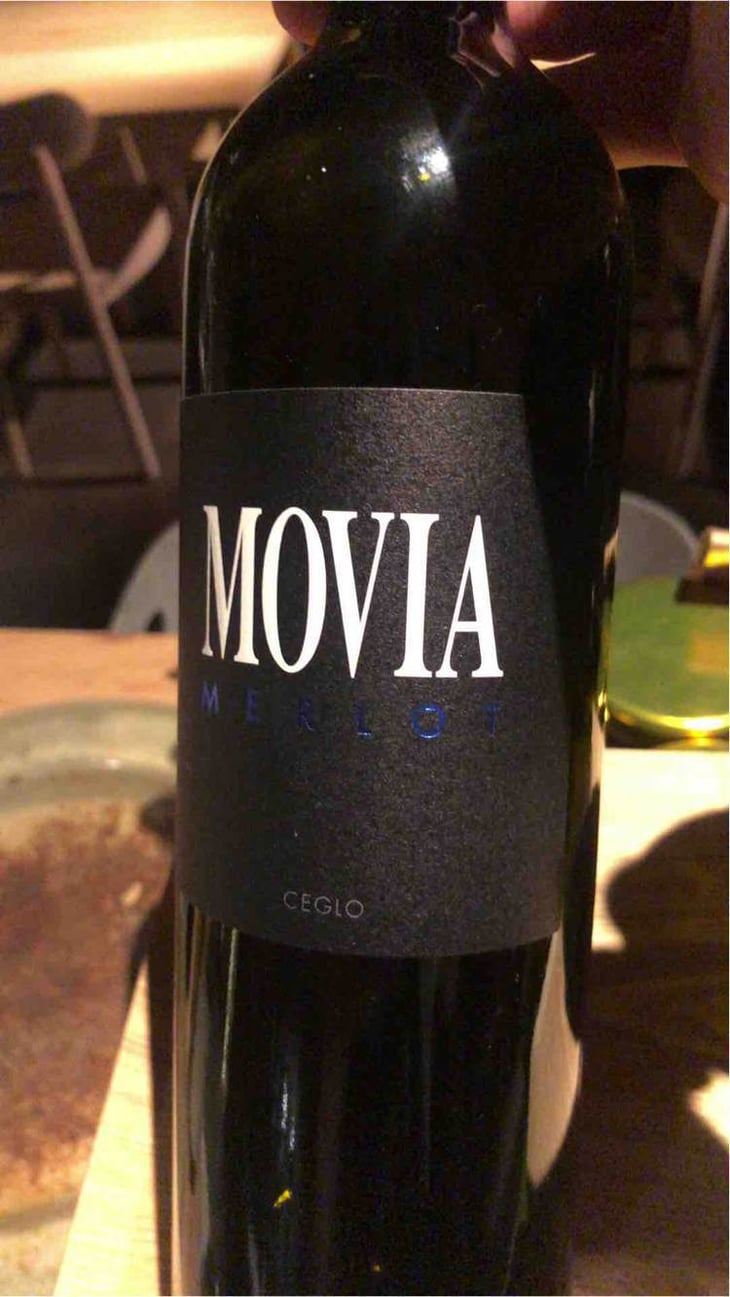 Merlot - Movia - ales-kristancic 