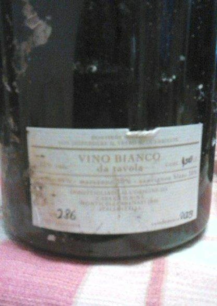 Estro - Casa Caterina - aurelio-emilio-del-bono 