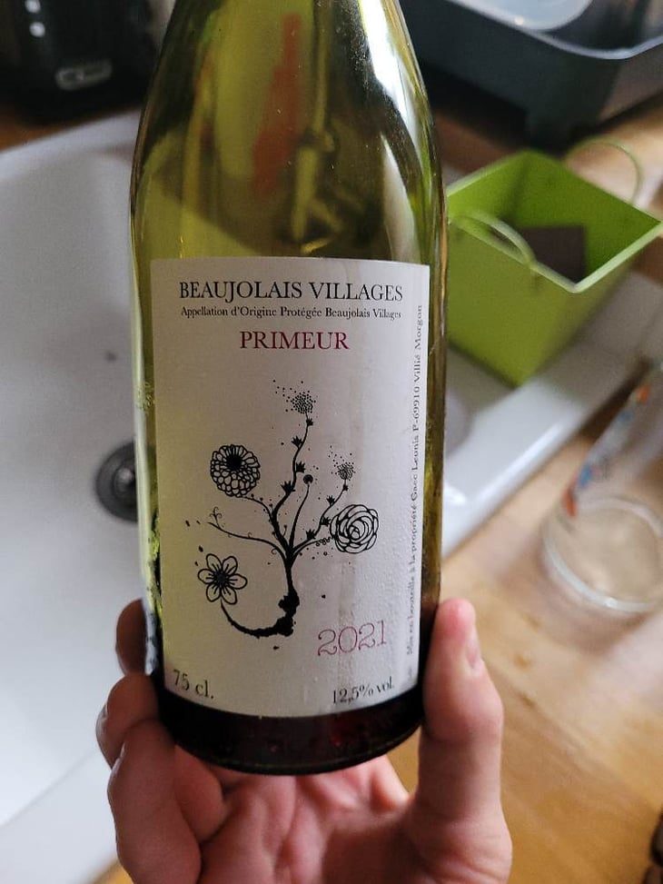 Beaujolais Village Primeur - Domaine Leonis - cristelle-raphael-champier 