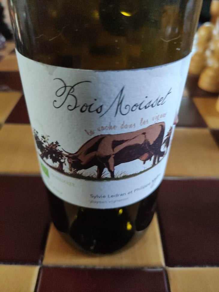 La Vache Dans Les Vignes - Domaine Ferme Bois Moisset - sylvie-philippe-maffre 