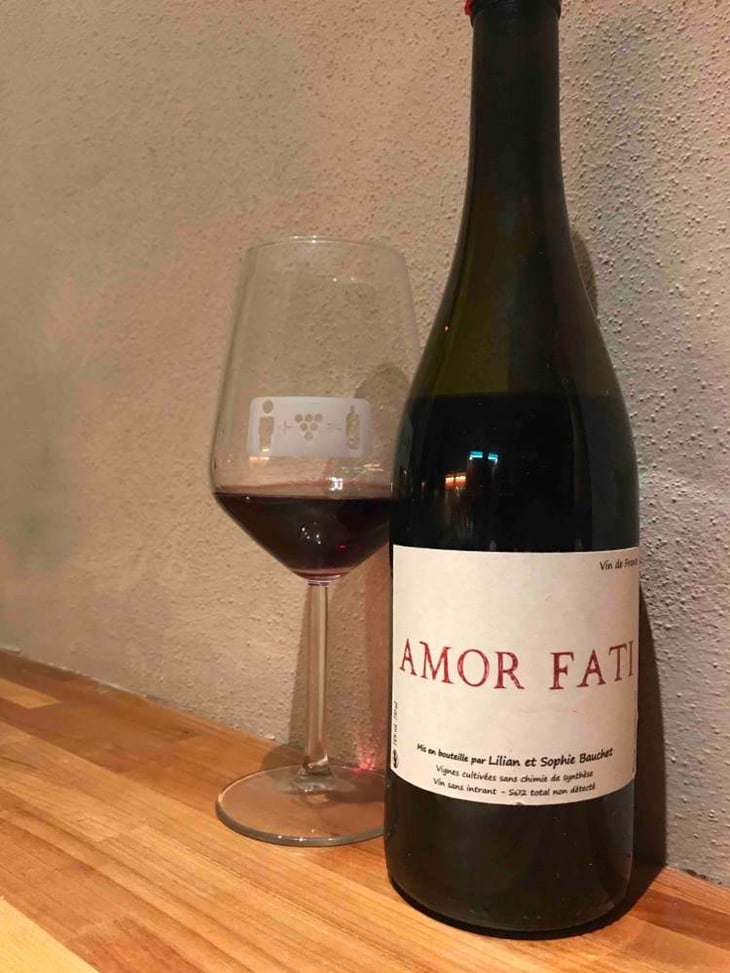 Amor Fati - Lilian & Sophie Bauchet - lilian-sophie-bauchet 