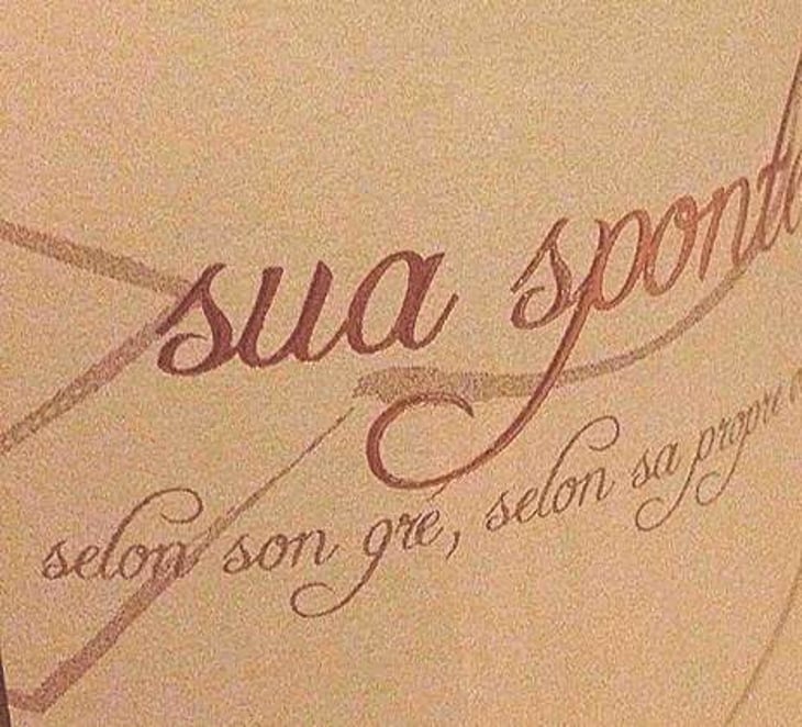 Sua Sponte - Elian Da Ros - sandrine-et-elian-da-ros 