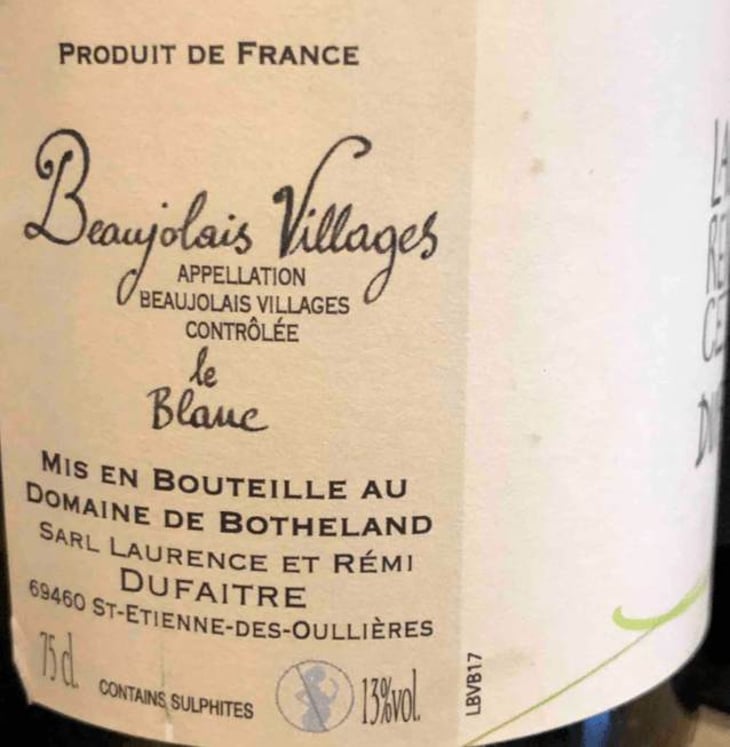 Le Blanc - Domaine de Botheland - remi-dufaitre-laurence-liatard 