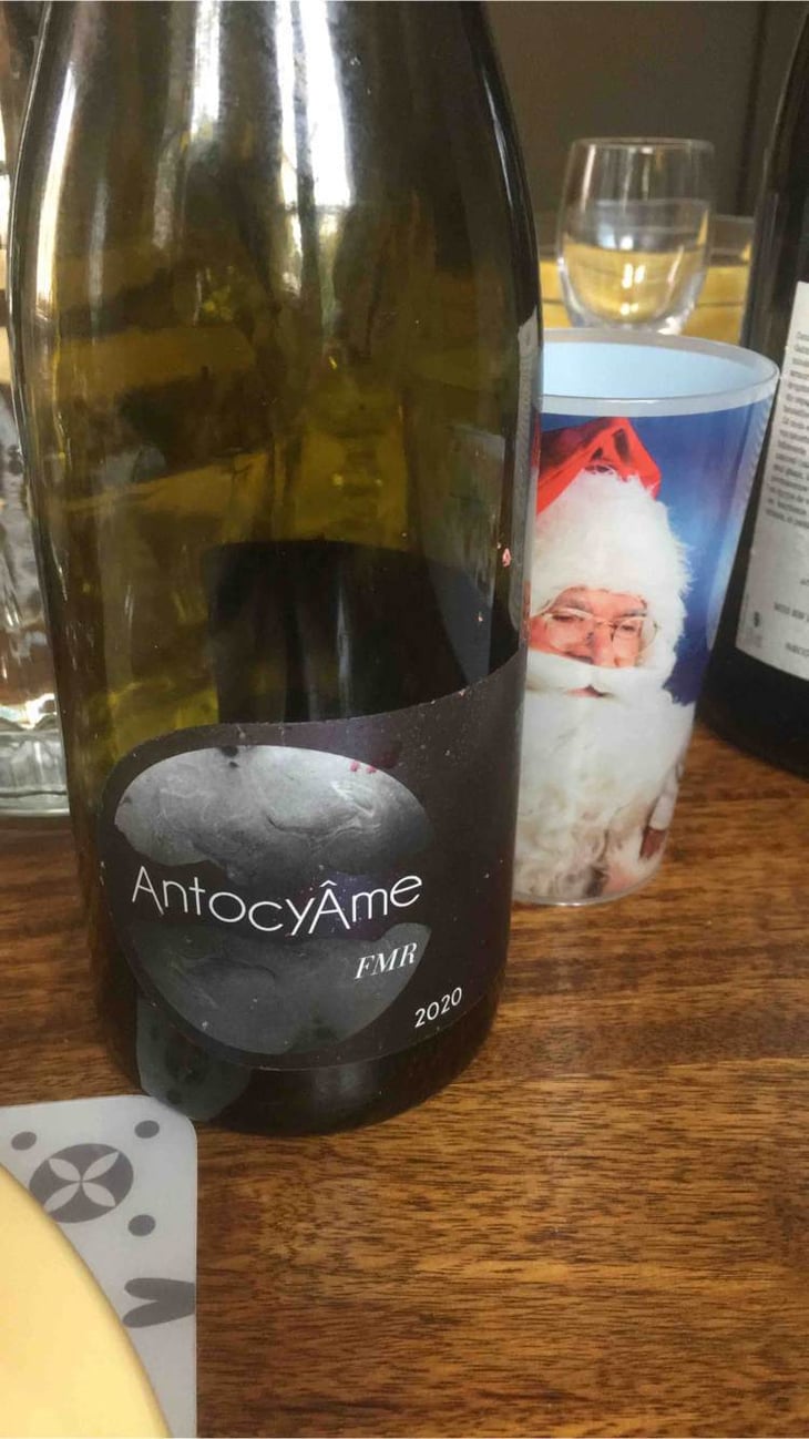 Fmr - AntocyÂme - muriel-zoldan -2020