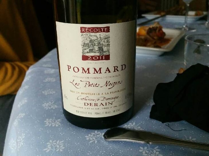 Les Petits Noizons - Domaine Derain - julien-altaber-carole-shwab-domique-derain 