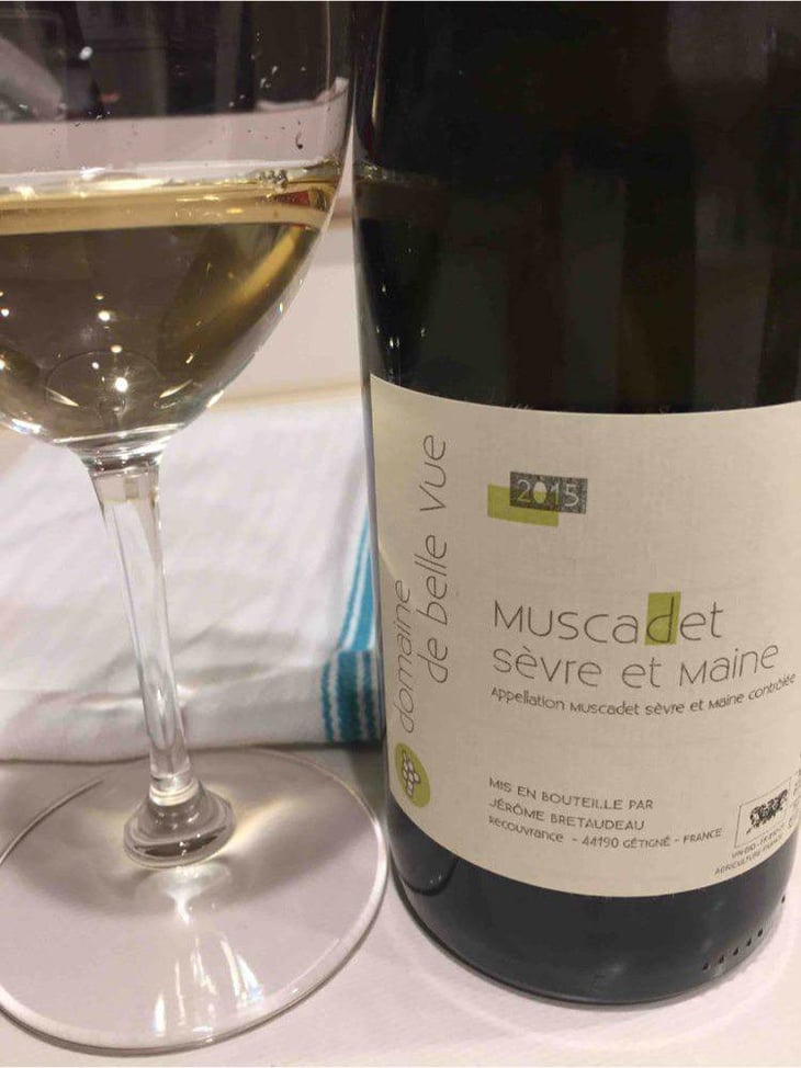 Muscadet Sèvre Et Maine - Domaine de Bellevue - jerome-bretaudeau 