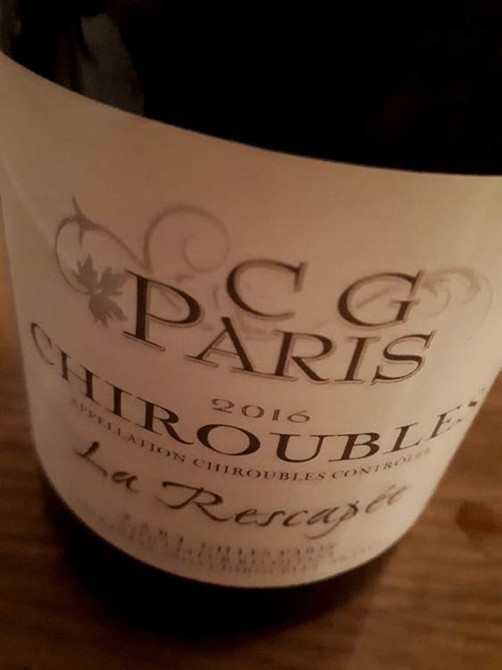 La Rescapée - Christine & Gilles Paris - christine-gilles-paris 