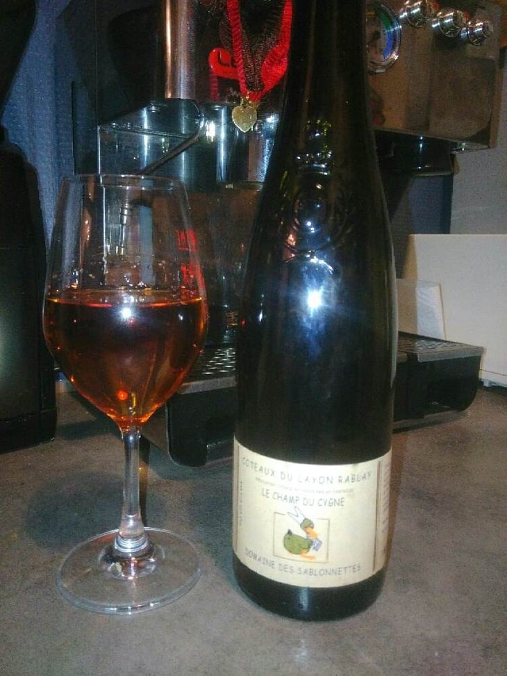 Le Champ Du Cygne - Les Sablonnettes - christine-joel-menard 