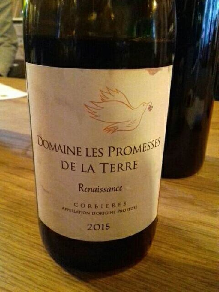 Renaissance - Les Promesses de la Terre - bruno-weiller-closed 