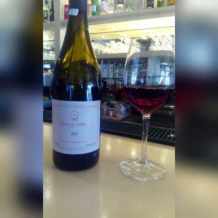 Young Vines - Thymiopoulos Vineyards - apostolos-thymiopoulos 