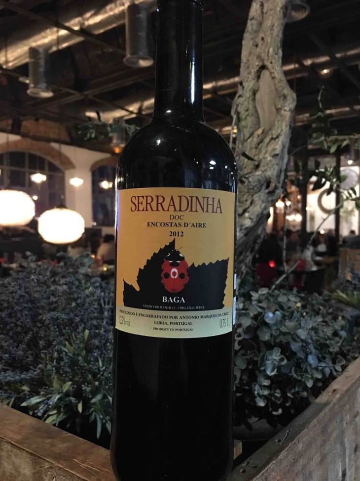 Baga - Quinta da Serradinha - antonio-marques-da-cruz 