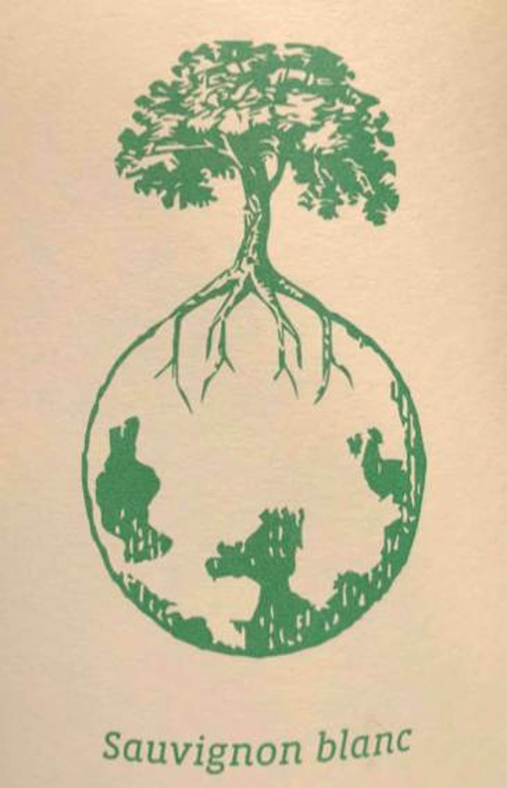 Sauvignon blanc - Weingut Werlitsch - ewald-brigitte-tscheppe 