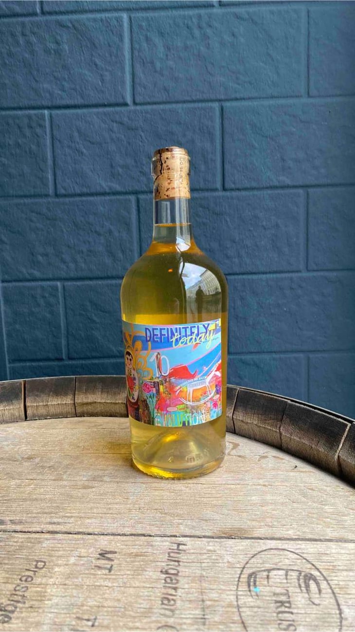 Definitely Today - Biodyn Weinhof Haider - berthold-eva-haider -2020