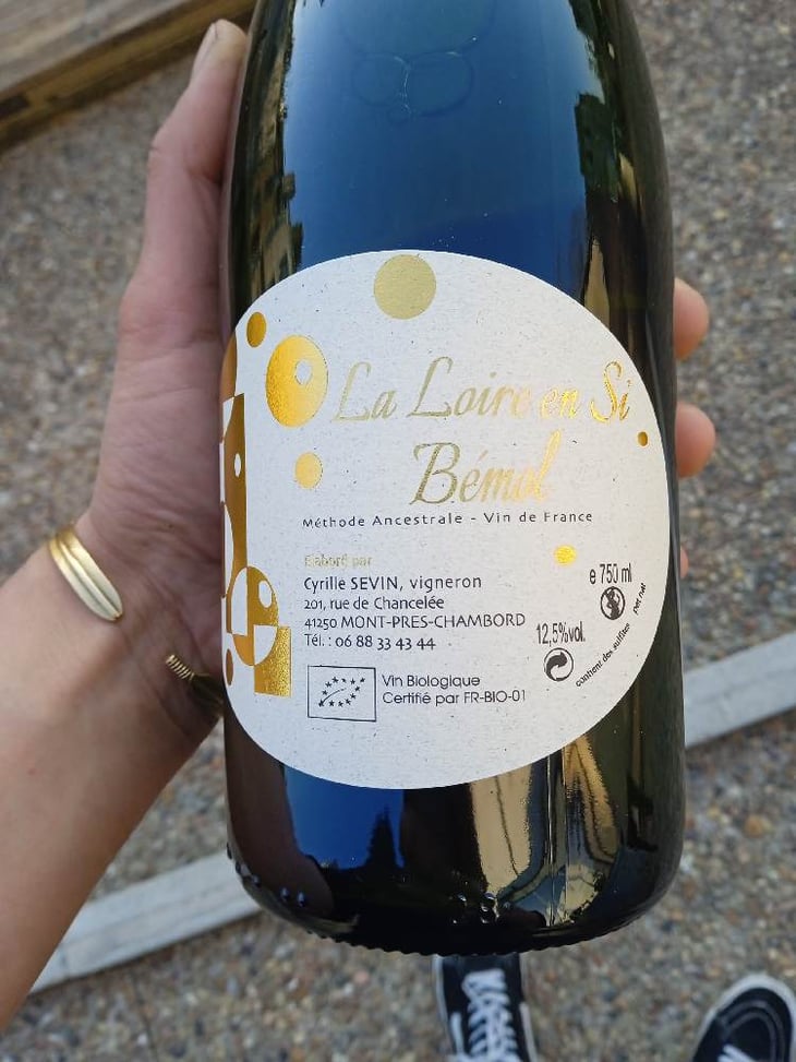 Loire En Si Bemol - Cyrille Sevin - cyrille-sevin 