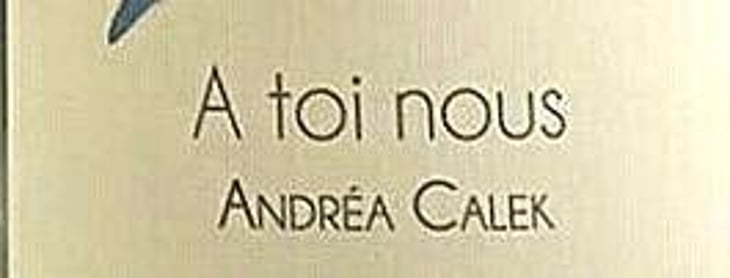 A Toi Nous II - Andrea Calek - andrea-calek-et-stephana-nicolescu 