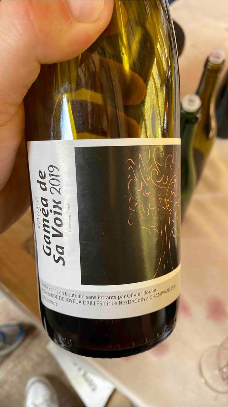 Gamea De Savoie - Le Nez de Goth - olivier-boulin -2019