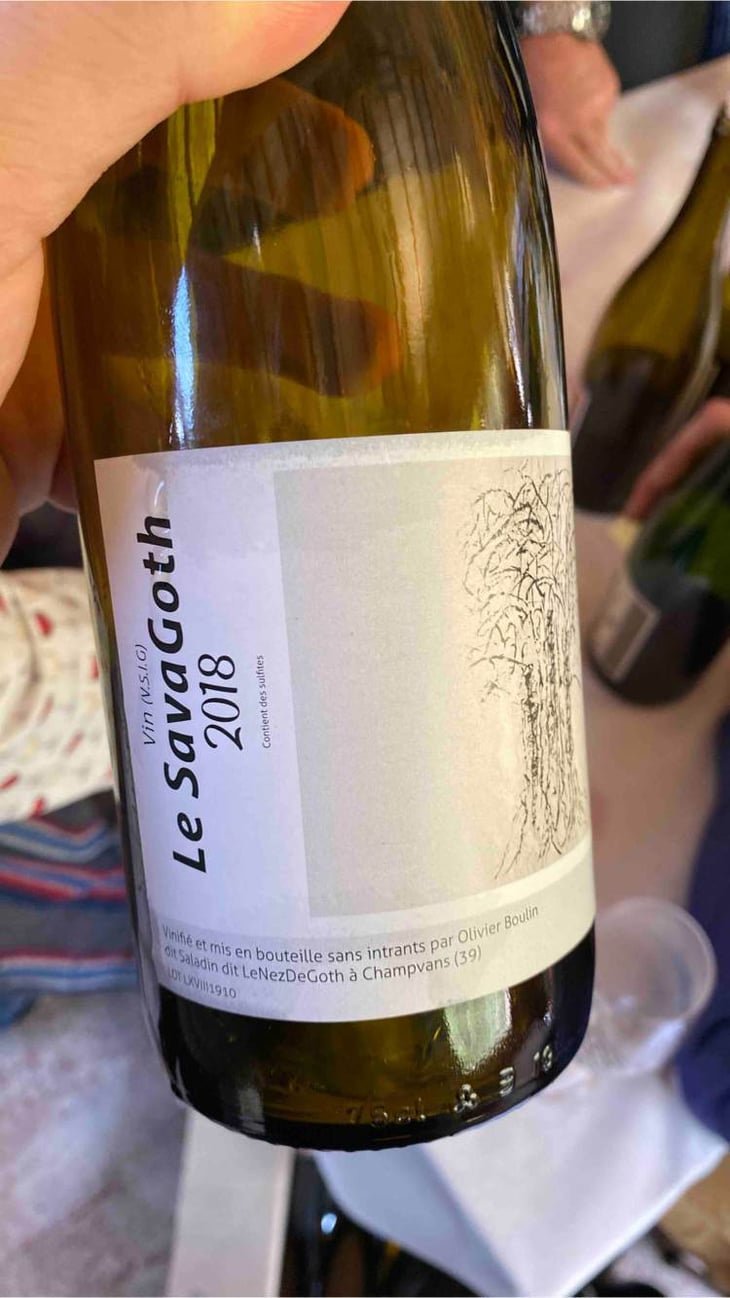 Savagoth - Le Nez de Goth - olivier-boulin 