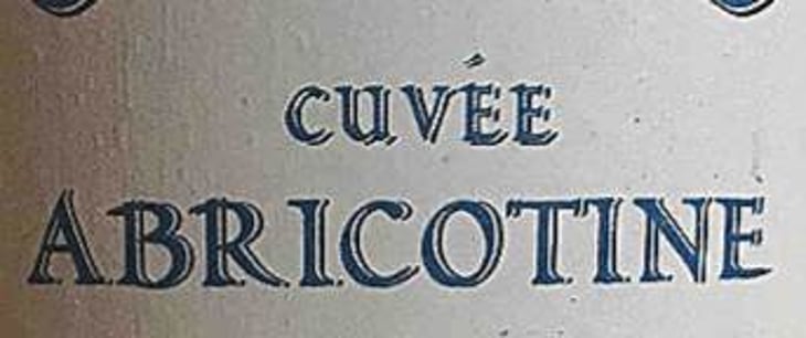 Cuvée Abricotine - Domaine Gabelous - yoann-gisele-damian 