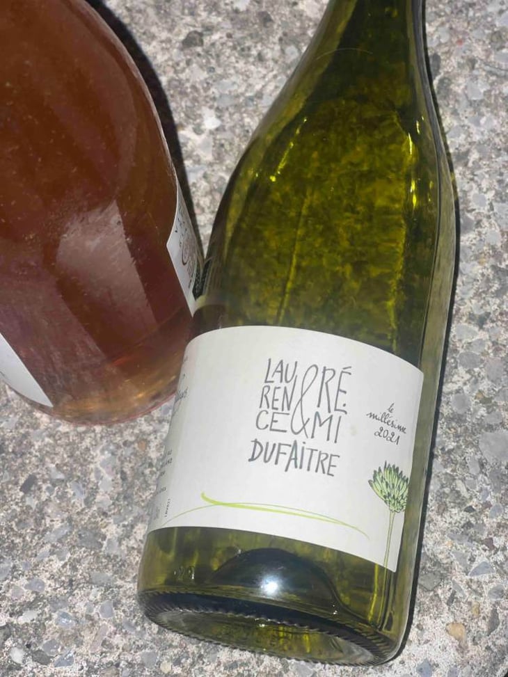Beaujolais Blanc - Domaine de Botheland - remi-dufaitre-laurence-liatard -2021